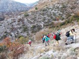 DSCN0482 (2)